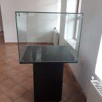 vitrine muzeu