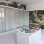 Vitrine muzeu